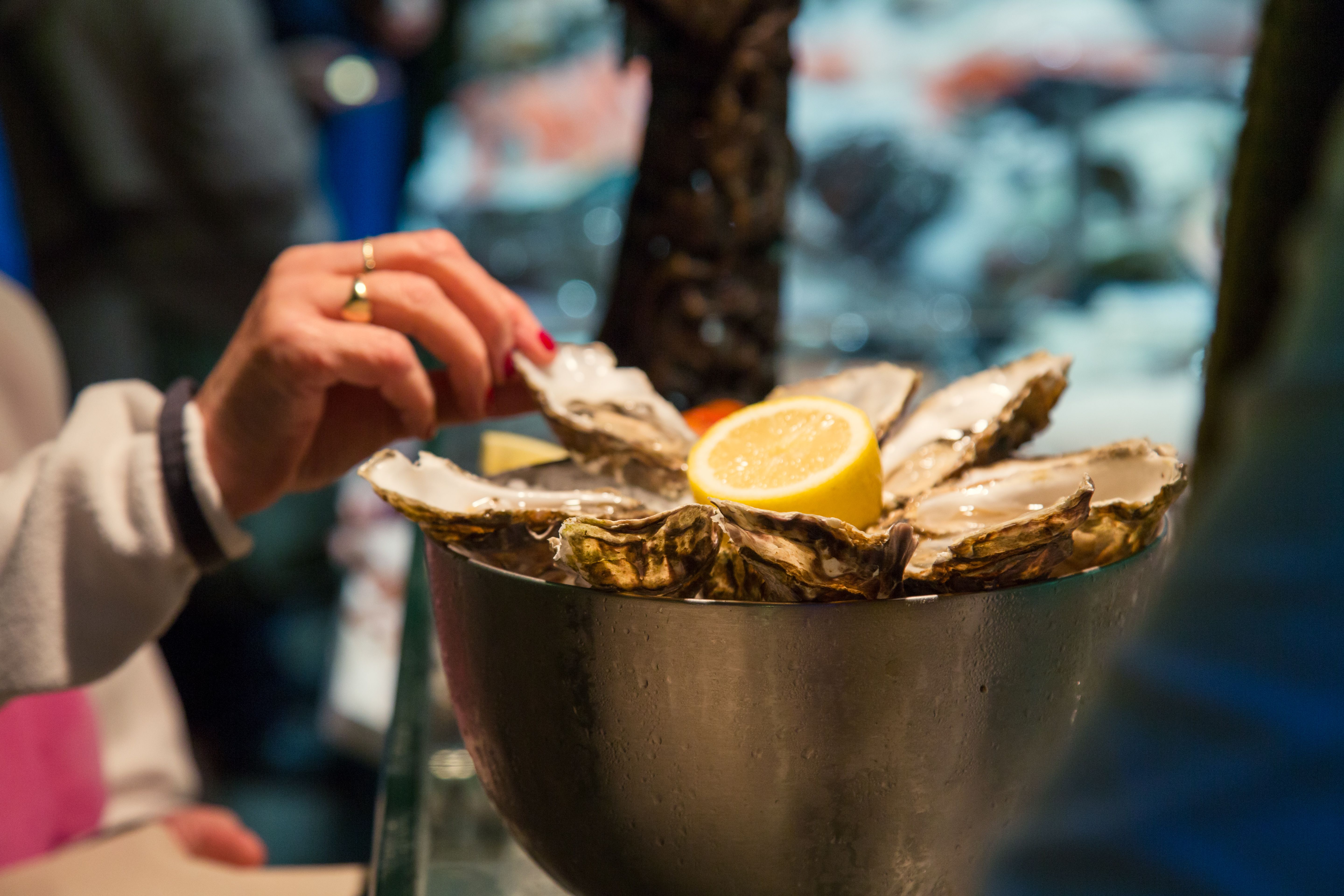 Oysters